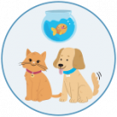 Pet Sitting